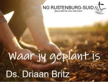 Waar jy geplant is