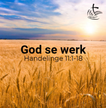 God se werk