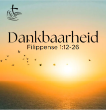 Dankbaarheid